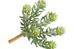 6″ x 3.5″ Green Red Tillandsia Pick