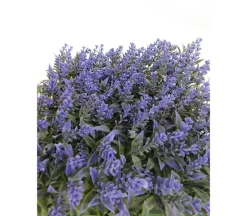 11.5″x11.5″ Lavender Floral Mat