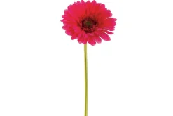16.5″x9.5″ Metal Planter, Charcoal